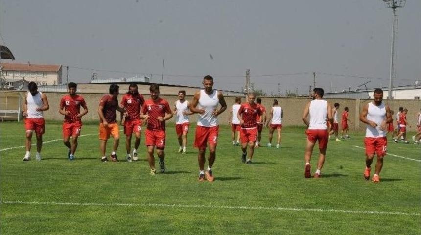 Naz Naz&rsquo;da Herşey Yolunda