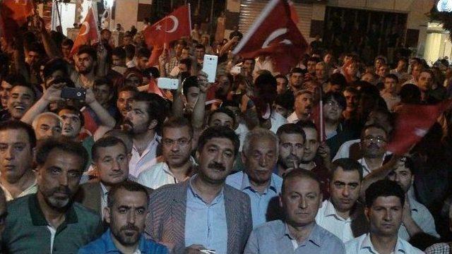 Kızıltepe’de Demokrasi Nöbeti 16. Gününde De Devam Ediyor