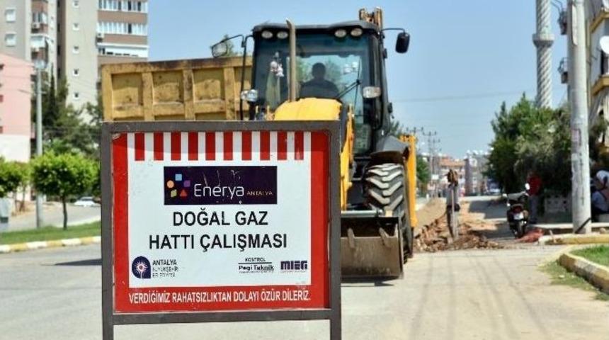 Kepez&rsquo;de, G&uuml;lveren Ve Yeşilyurt Mahallesine Doğalgaz