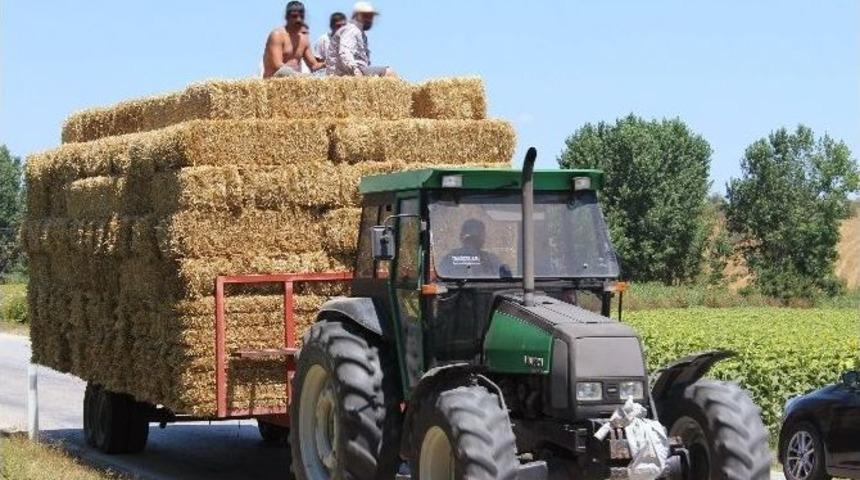 Saman Balyaları &Uuml;zerinde Tehlikeli Yolculuk