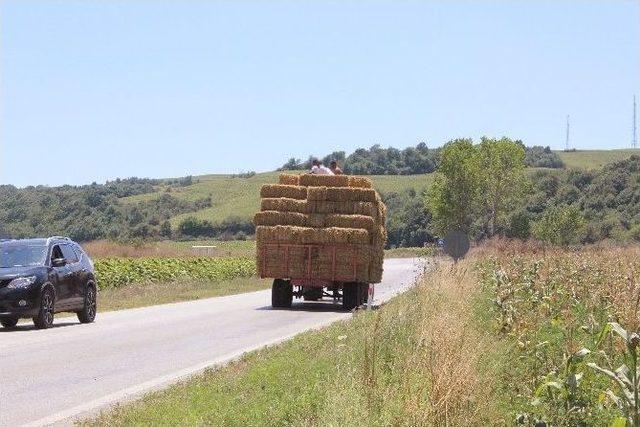 Saman Balyaları Üzerinde Tehlikeli Yolculuk