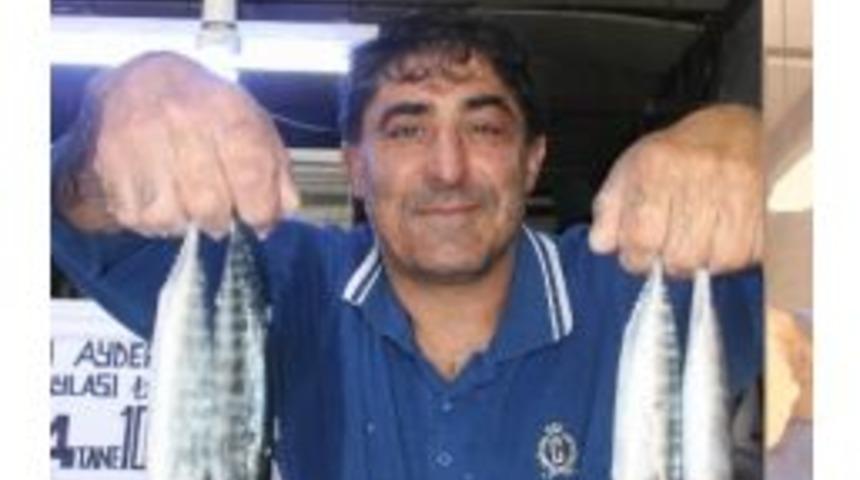 Palamut Bu Yıl Kendini Erken G&ouml;sterdi