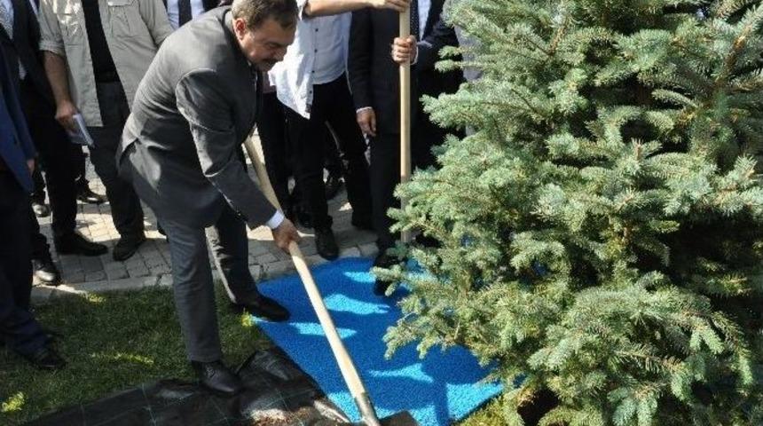 Bakan Eroğlu Balıkesir&rsquo;de 15 Temmuz Şehitleri İ&ccedil;in Ağa&ccedil; Dikti