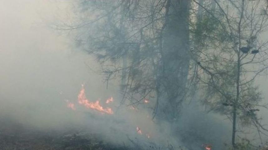 Osmaneli&rsquo;de Orman Yangını