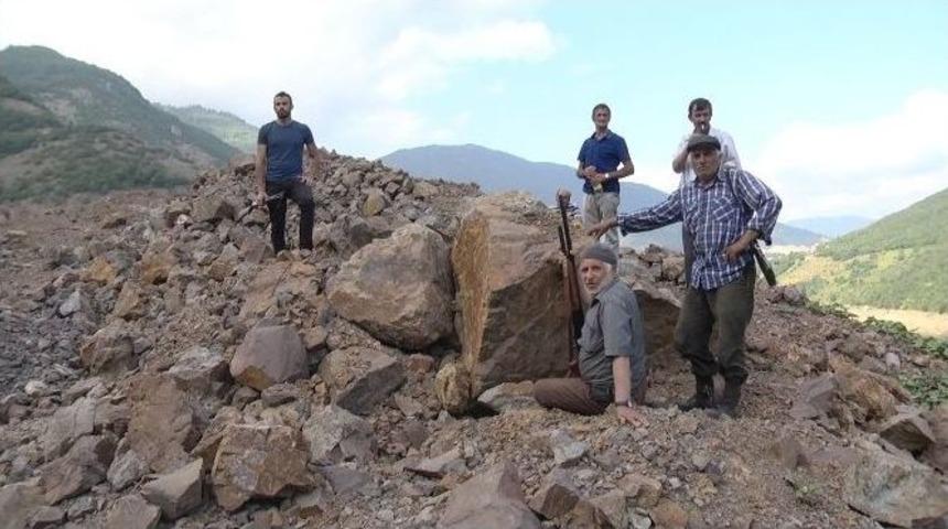 Karadenizli Ter&ouml;rist Avında