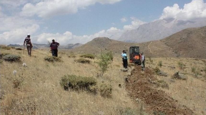 Pozantı’da Ağaçlandırma Çalışmaları