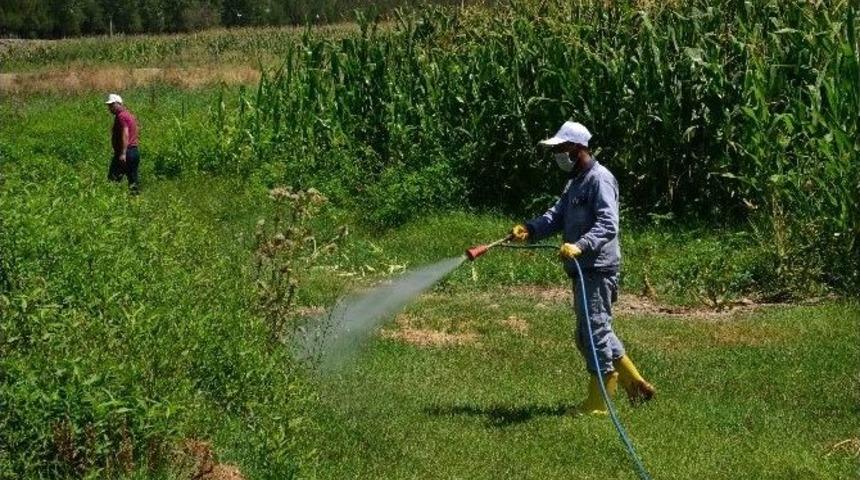 Kırsal İl&ccedil;elerde İla&ccedil;lama &Ccedil;alışmaları S&uuml;r&uuml;yor