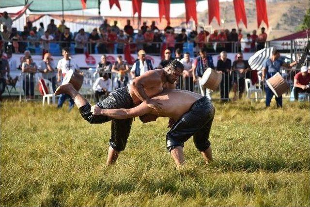 Alanya Gökbel’de Başpehlivan Yeşil Yeşil