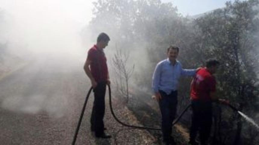 Adıyaman&rsquo;da, Orman Yangını