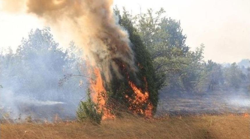 Uzunk&ouml;pr&uuml;&rsquo;deki Orman Yangını