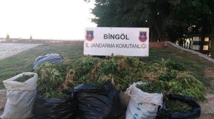 Bing&ouml;l&rsquo;de Uyuşturucu Operasyonu