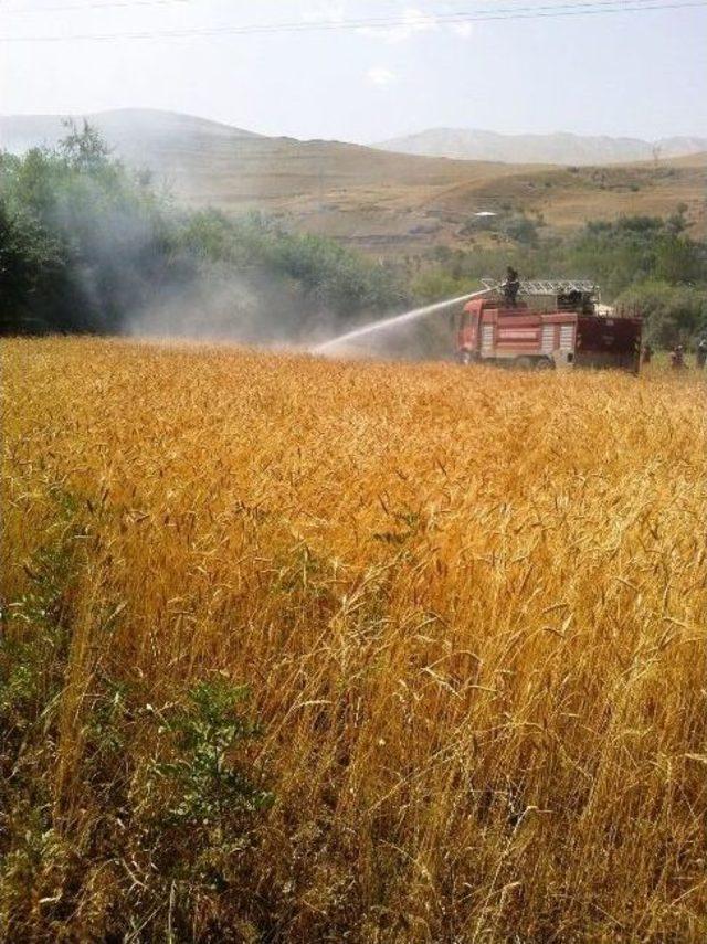 Van’da Tarla Yangını