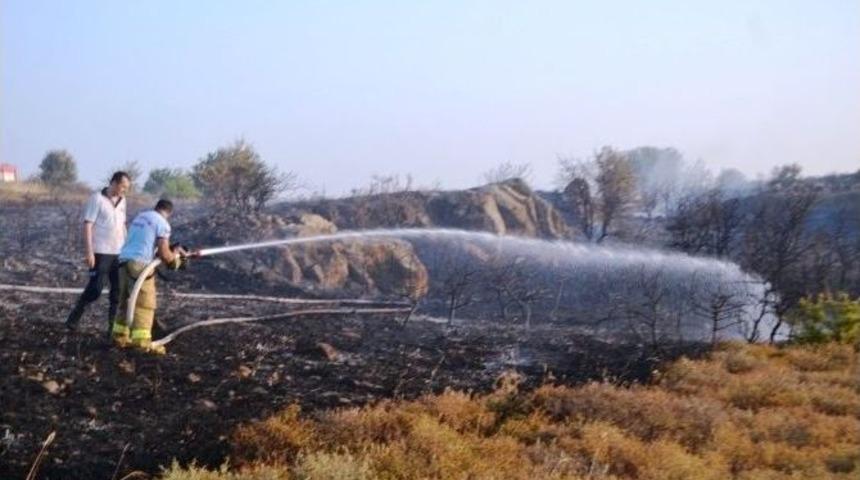 Endemik Bitkiler Yandı