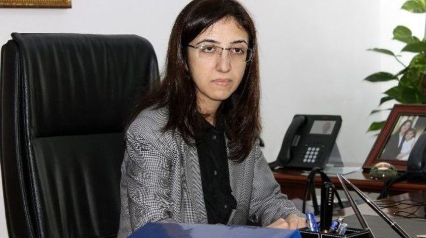 Vali Yılmaz: "d&uuml;nyaya Demokrasi Dersi Verdik"