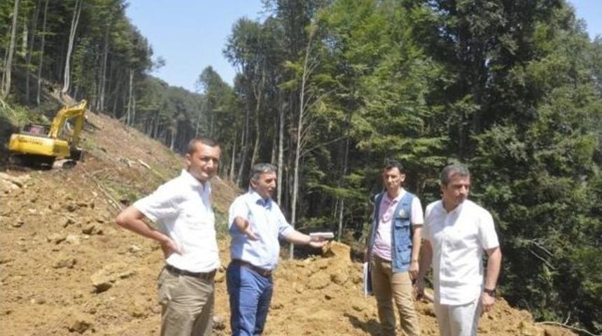 Sarıyayla&rsquo;daki Orman Yangınları İ&ccedil;in M&uuml;dahale Yolları A&ccedil;ılıyor