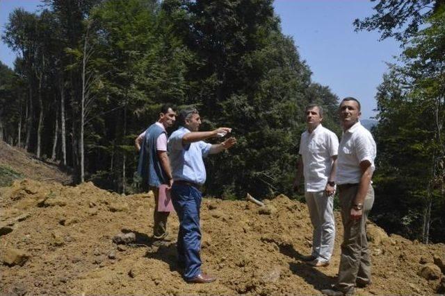 Sarıyayla’daki Orman Yangınları İçin Müdahale Yolları Açılıyor