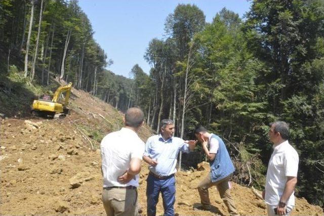 Sarıyayla’daki Orman Yangınları İçin Müdahale Yolları Açılıyor