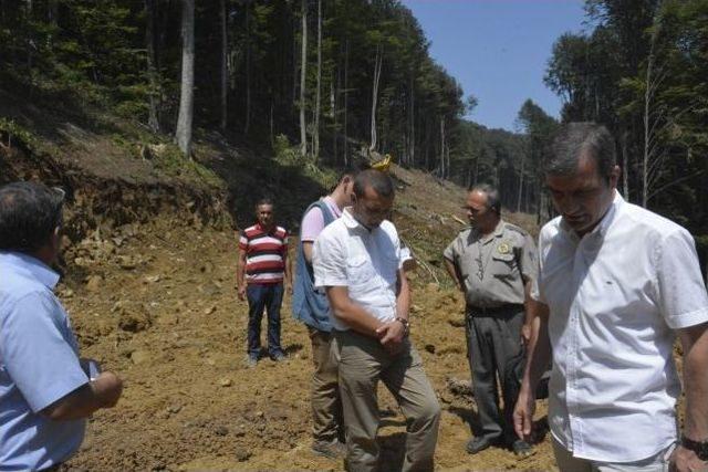 Sarıyayla’daki Orman Yangınları İçin Müdahale Yolları Açılıyor