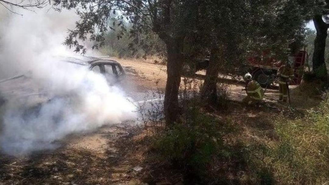 Park Halindeki Ara&ccedil; Alev Alev Yandı