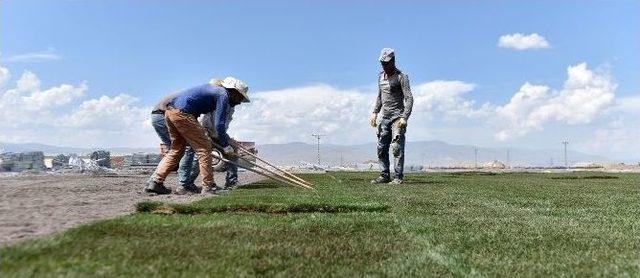 Türkiye’nin En Büyük Modern Güreş Arenası Erzurum’da Yapılıyor