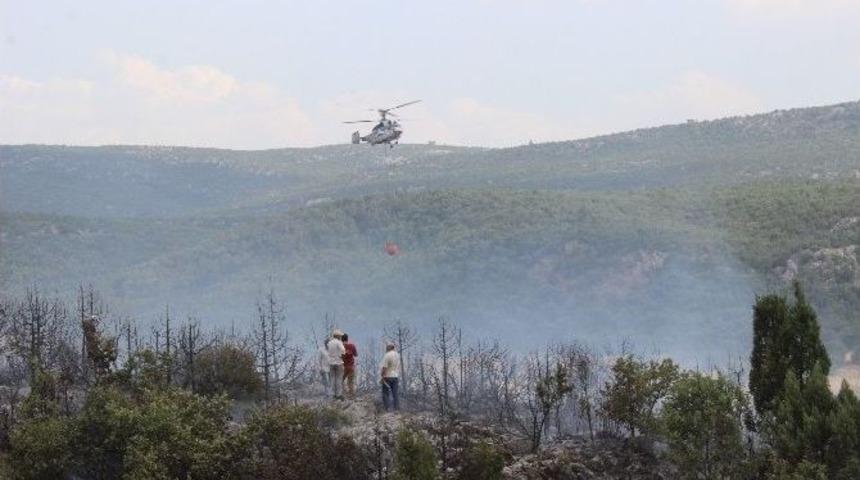 Tavşanlı&rsquo;da 3 Hektar Ormanlık Alan Yandı