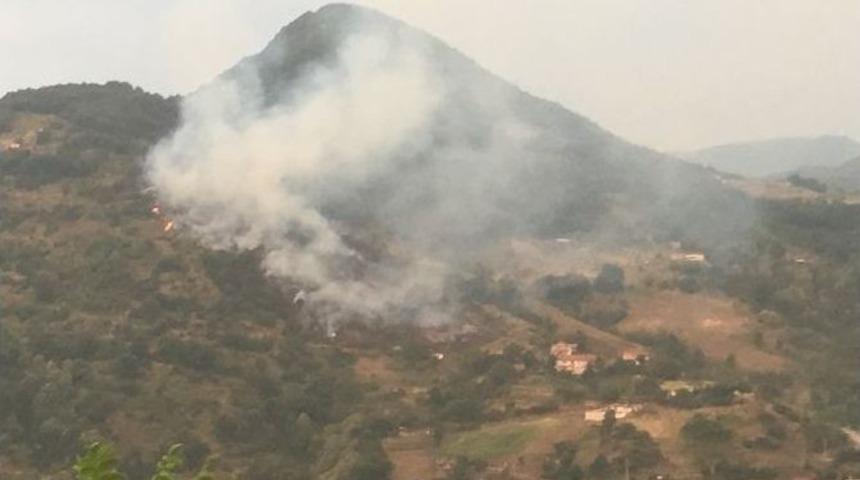 Kocaeli&rsquo;de 2 Hektar Ormanlık Alan K&uuml;l Oldu