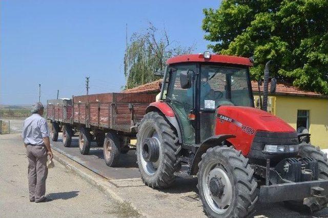 Lüleburgaz’da Sezonun İlk Ayçiçeği Alımı Gerçekleşti