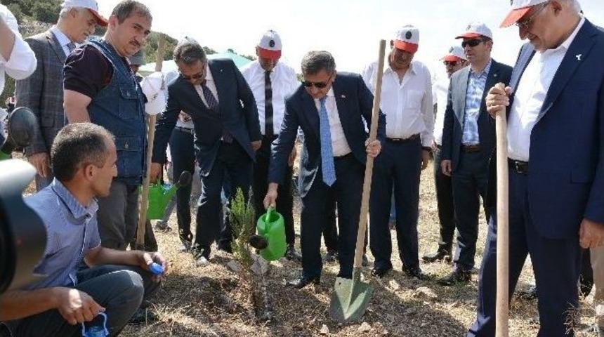 Burdur&rsquo;da Faaliyetini Tamamlayan Mermer Ocağına 122 Bin Ağa&ccedil;