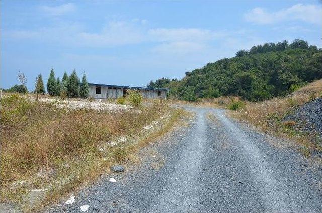 Alaplı’da Yol Kenarları Atılan Fetö Kitaplarıyla Doldu