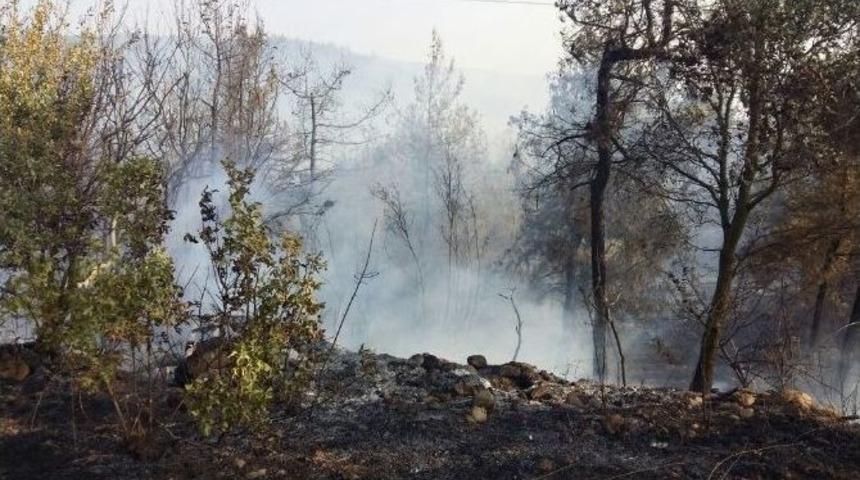 Osmaneli&rsquo;nin Avdan K&ouml;y&uuml;nde &Ccedil;ıkan Orman Yangını Kontrol Altına Alındı