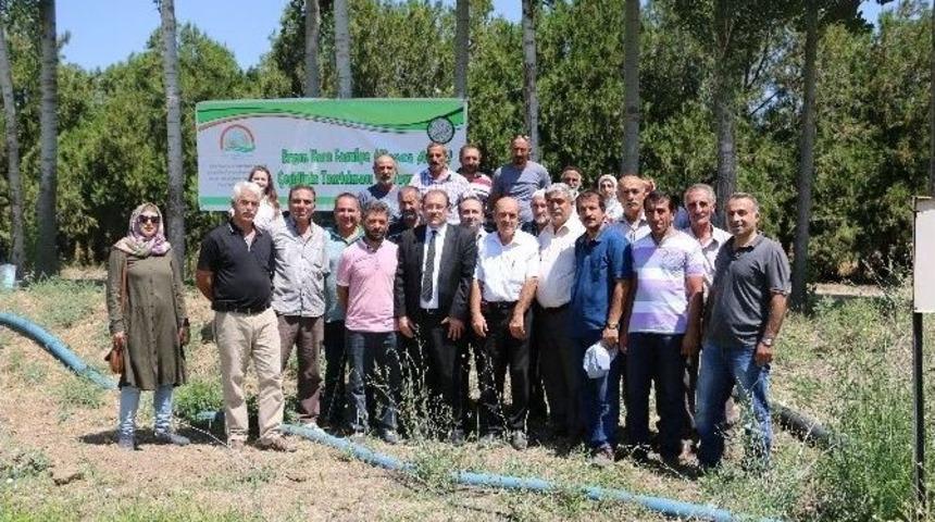 Ergan Fasulyesinde &Ccedil;alışmalar S&uuml;r&uuml;yor