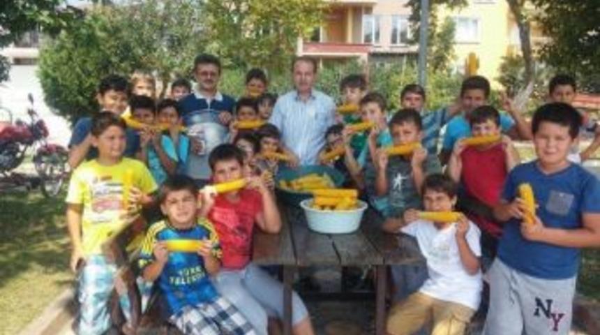 Boyalıca&rsquo;da Yaz Kur&rsquo;an Kursuna B&uuml;y&uuml;k İlgi