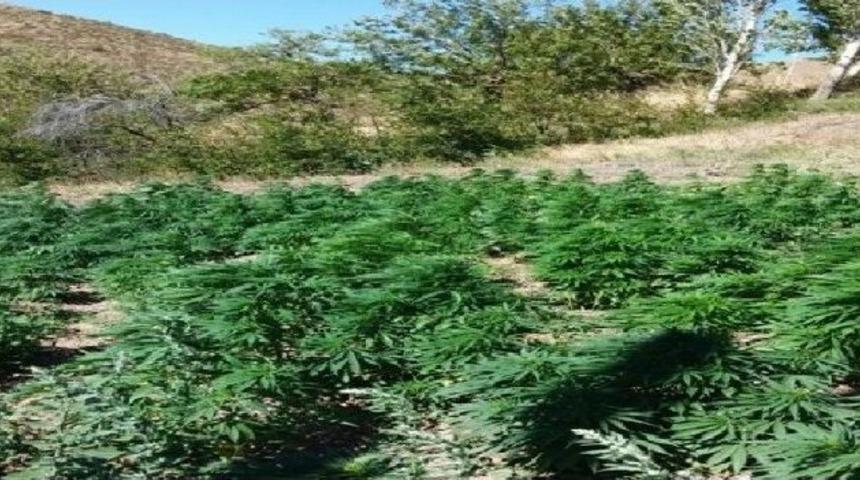 Jandarma&rsquo;dan Sıkı Denetim