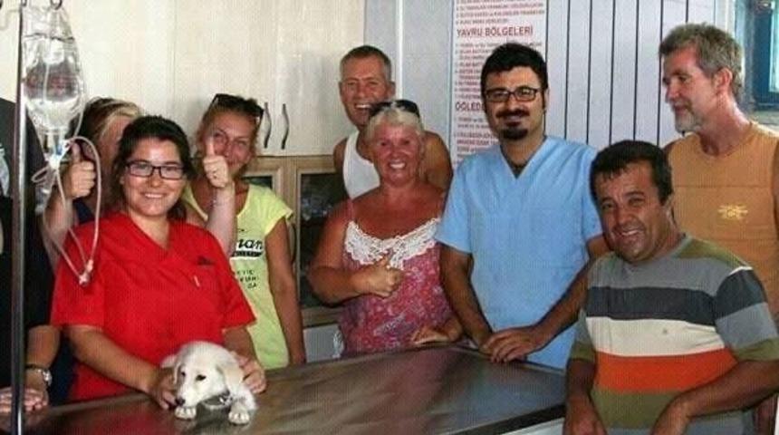 İngiltere&rsquo;den Sokak Hayvanları İ&ccedil;in Didim&rsquo;e Anlamlı Bağış