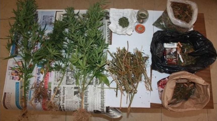 Polis Uyuşturucu Tacirlerine Göz Açtırmıyor