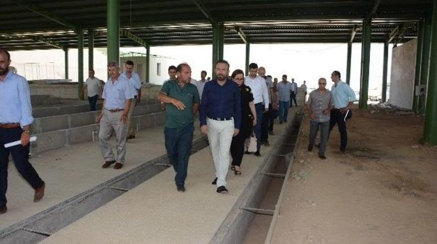 Başkan Doğan Kurban Pazarı İnşaatında İncelemelerde Bulundu