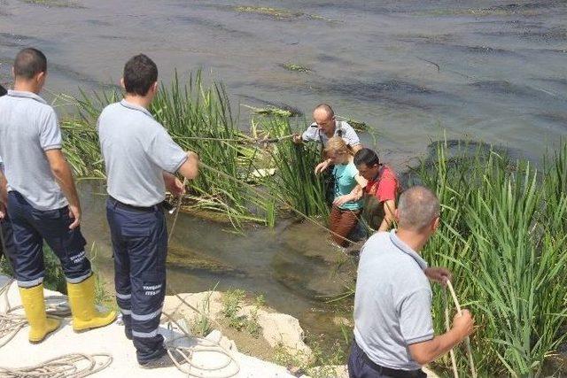 Çayda Mahsur Kalan Kadını İtfaiye Ekipleri Kurtardı