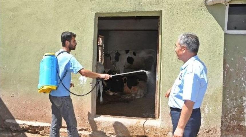 G&ouml;lbaşı Belediyesi İla&ccedil;lama &Ccedil;alışmalarını S&uuml;rd&uuml;r&uuml;yor