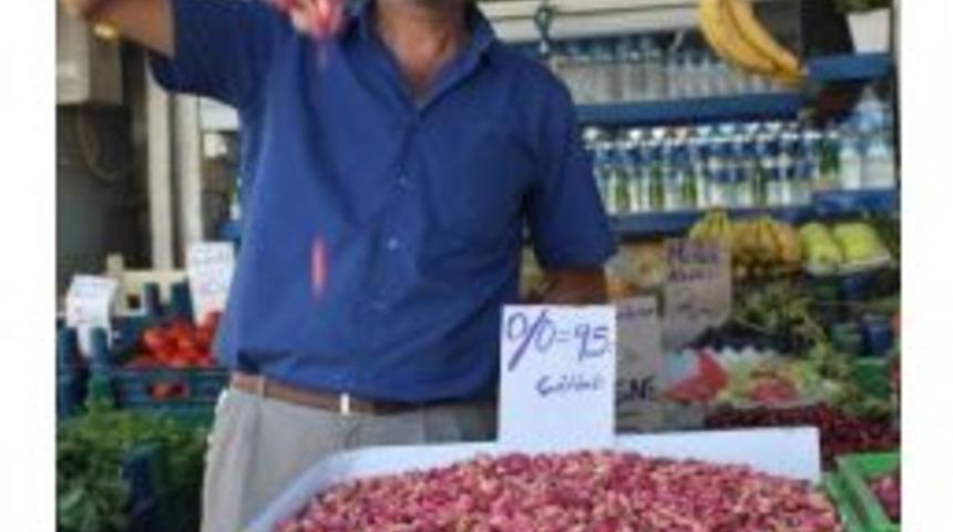 Kilis&rsquo;te Antep Fıstığı Kilosu 10 Tl&rsquo;den Satılıyor