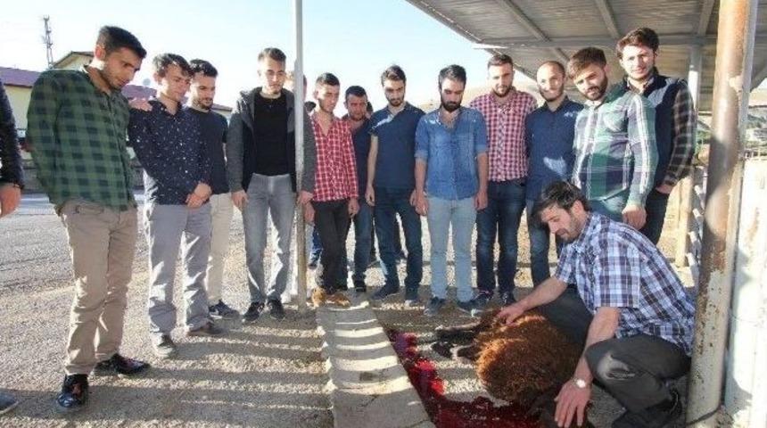 Bayburtlu Gen&ccedil;ler Har&ccedil;lıklarıyla Kurban Kesip İhtiya&ccedil; Sahiplerine Dağıttı