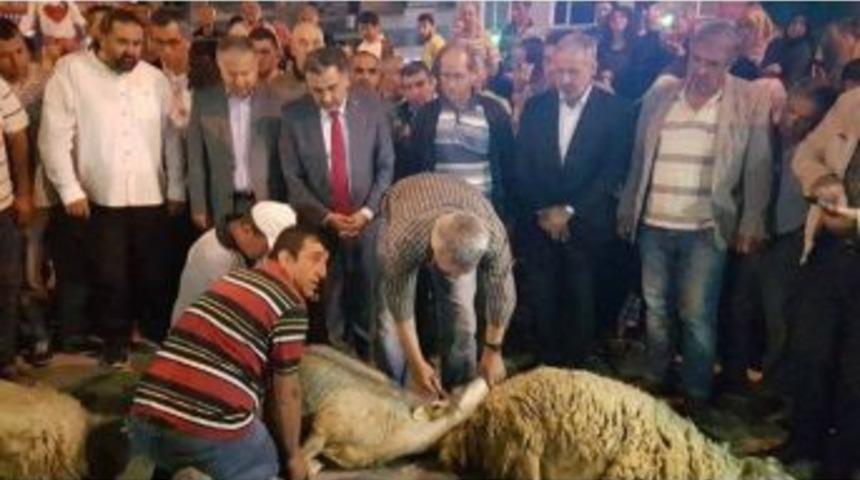 Develi Belediyesi Ş&uuml;k&uuml;r Kurbanı Kesti