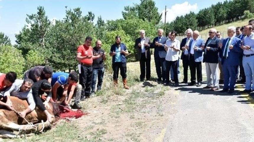 Başkan Sekmen&rsquo;den Ş&uuml;k&uuml;r Kurbanı