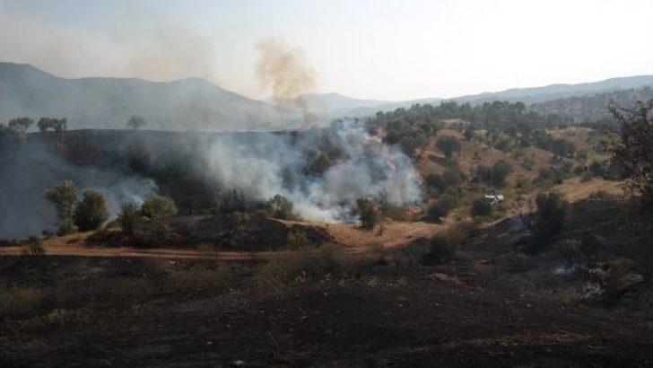 İzmir’deki Orman Yangını Devam Ediyor G1