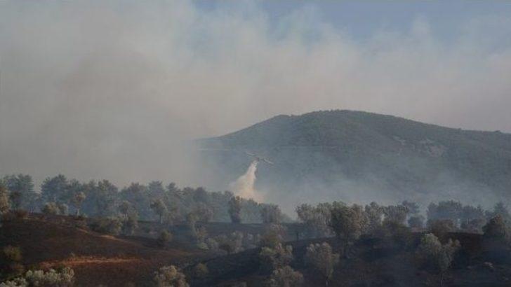 İzmir’deki Orman Yangını Devam Ediyor G2