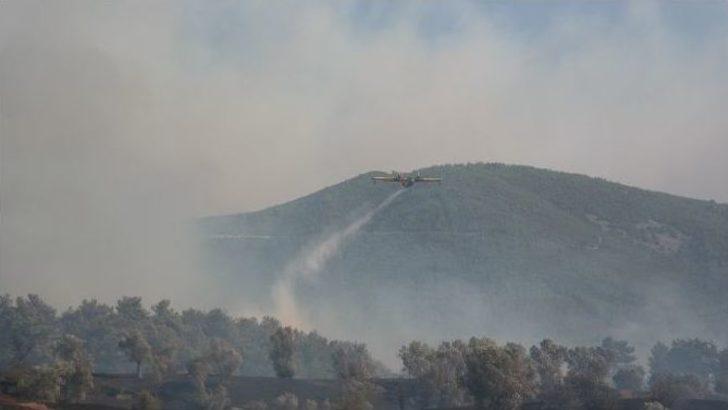 İzmir’deki Orman Yangını Devam Ediyor G3