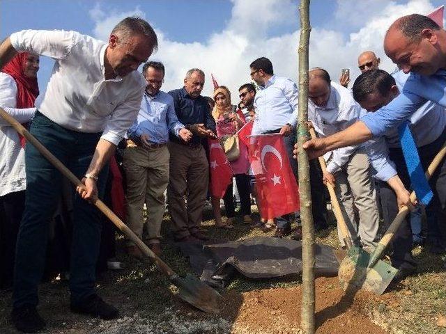 Çekmeköy’de Her Şehide Bir Fidan