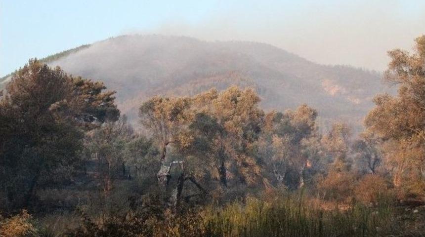İzmir&rsquo;deki Yangında 30 Hektarlık Alan Yandı