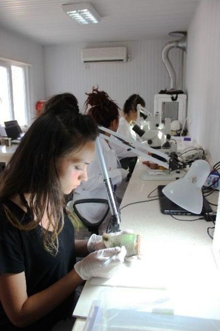 Antik Eserlerin Ömrü Uzatılıyor G2