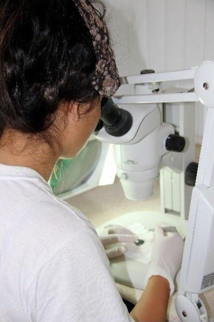 Antik Eserlerin Ömrü Uzatılıyor G3