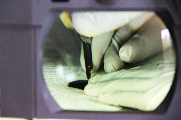 Antik Eserlerin Ömrü Uzatılıyor G4